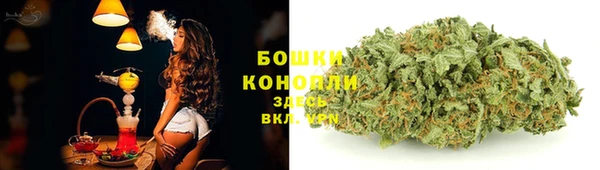 ГАЛЛЮЦИНОГЕННЫЕ ГРИБЫ Осинники