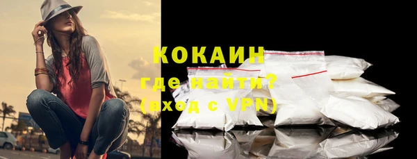 ГАЛЛЮЦИНОГЕННЫЕ ГРИБЫ Осинники