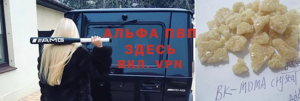 ГАЛЛЮЦИНОГЕННЫЕ ГРИБЫ Осинники