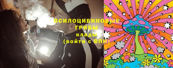 ГАЛЛЮЦИНОГЕННЫЕ ГРИБЫ Осинники