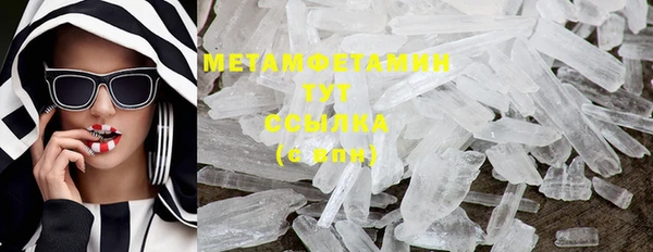 ГАЛЛЮЦИНОГЕННЫЕ ГРИБЫ Осинники